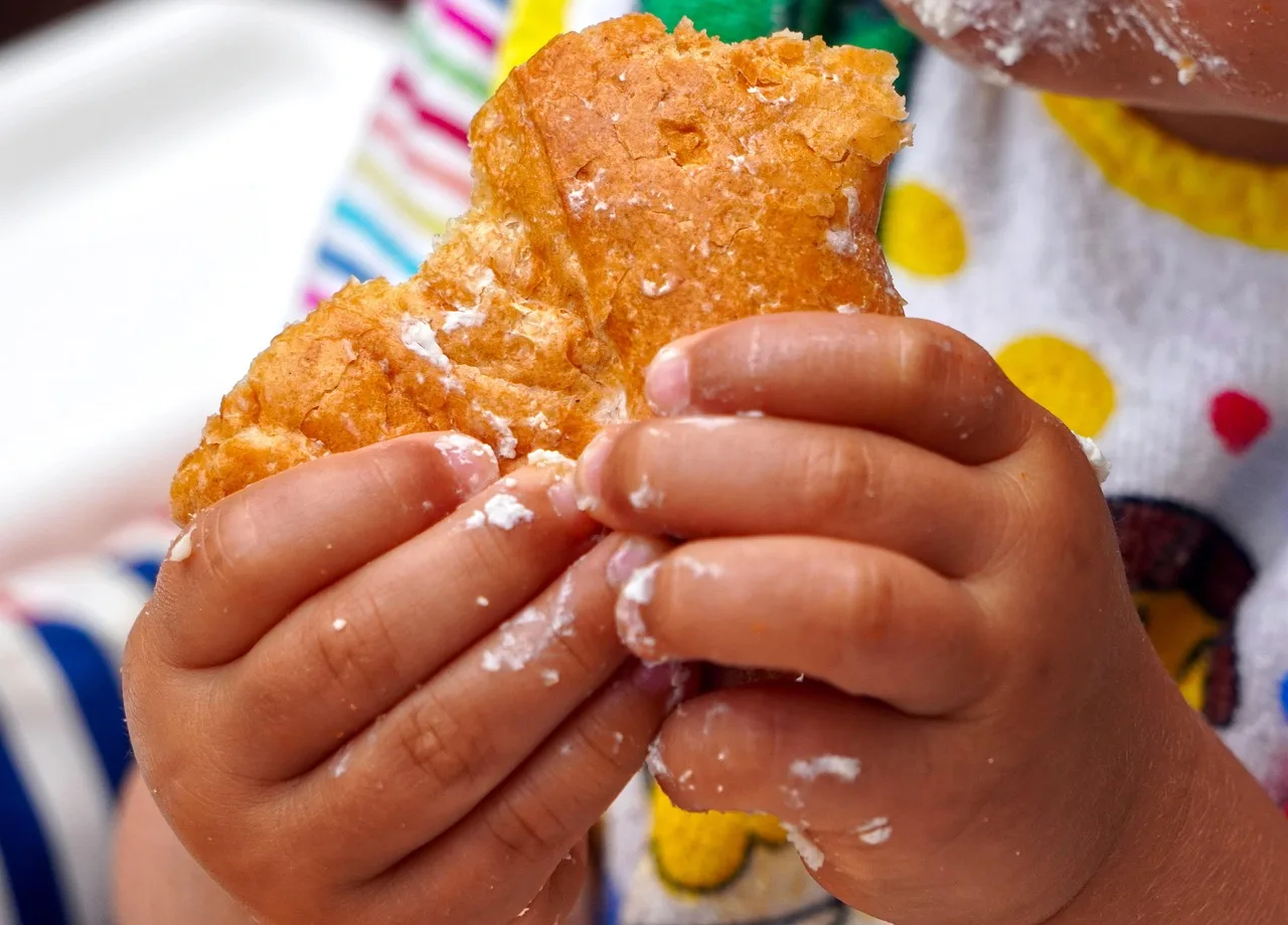 children's hands, hands, meal, child's hand, children. Is CACFP Daycare Food Program Reimbursement Worth the Paperwork?