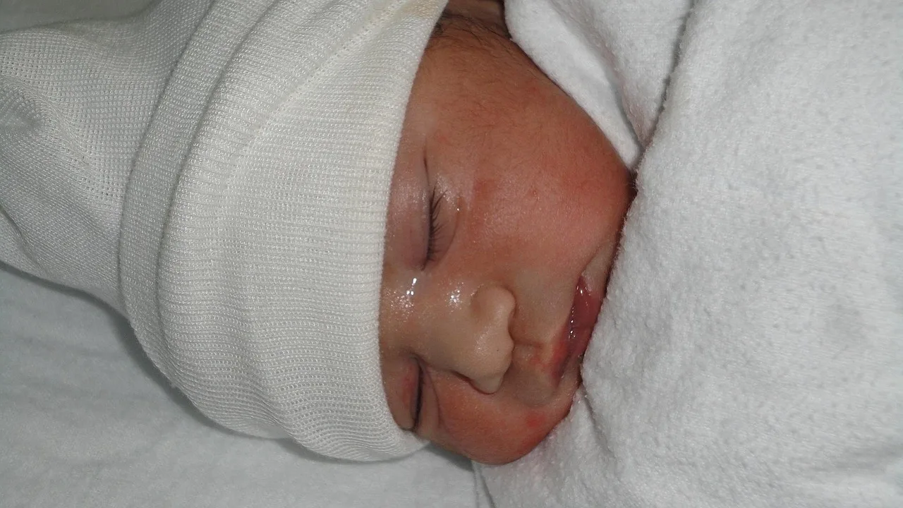 baby, birth, healthy baby, child, newborn, infant, born, care, healthy, boy, delivery, new baby, hospital, medical, newborn baby, childbirth, healthcare, maternity, family, motherhood, labor, mother, life, parent, mom, gray hospital, gray medical, gray life, gray news, gray healthy, gray care, gray healthcare, gray new, new baby, hospital, childbirth, childbirth, childbirth, childbirth, childbirth. Protecting a childcare center: the insurance line items
